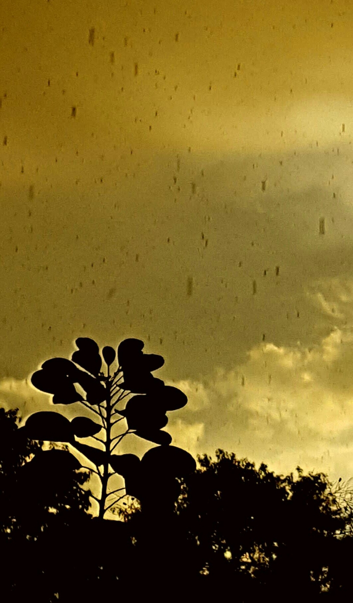wet weather
