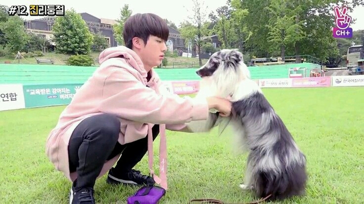 Jin and dog