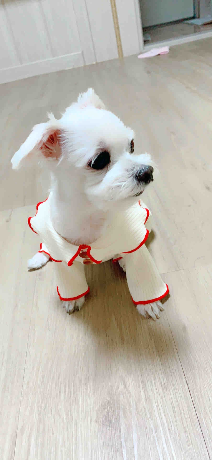 졸려?