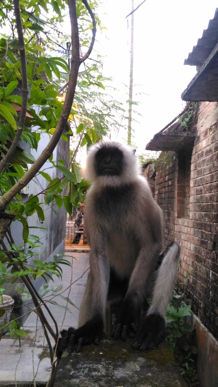 Kolkata