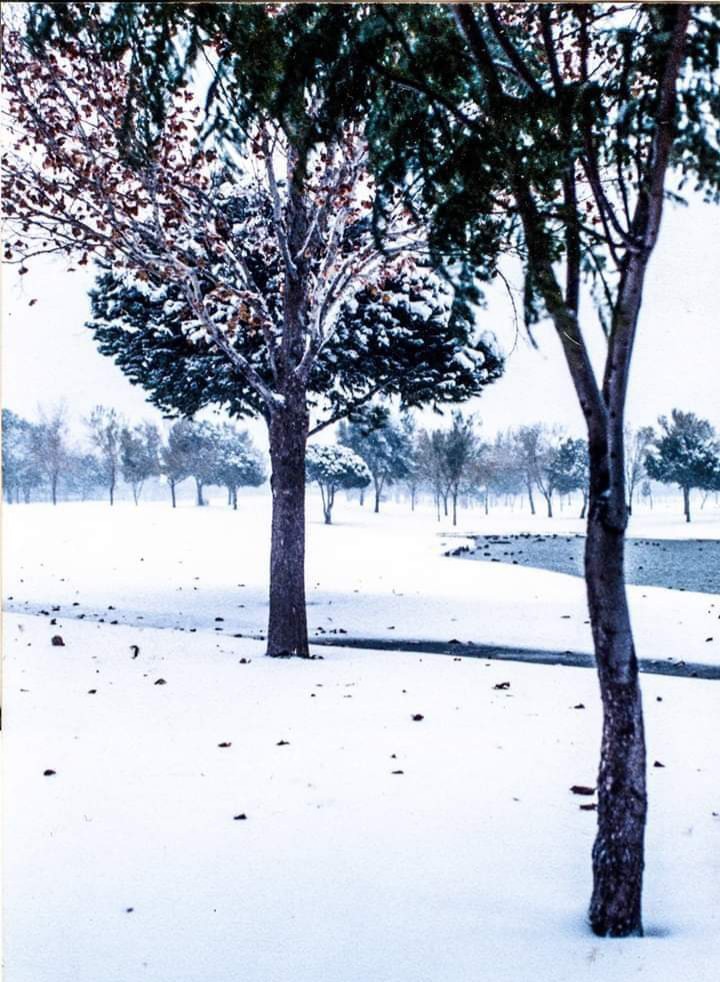 paisaje nevado