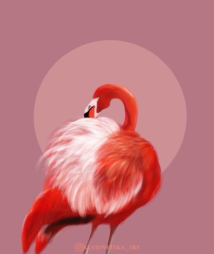 flamingo