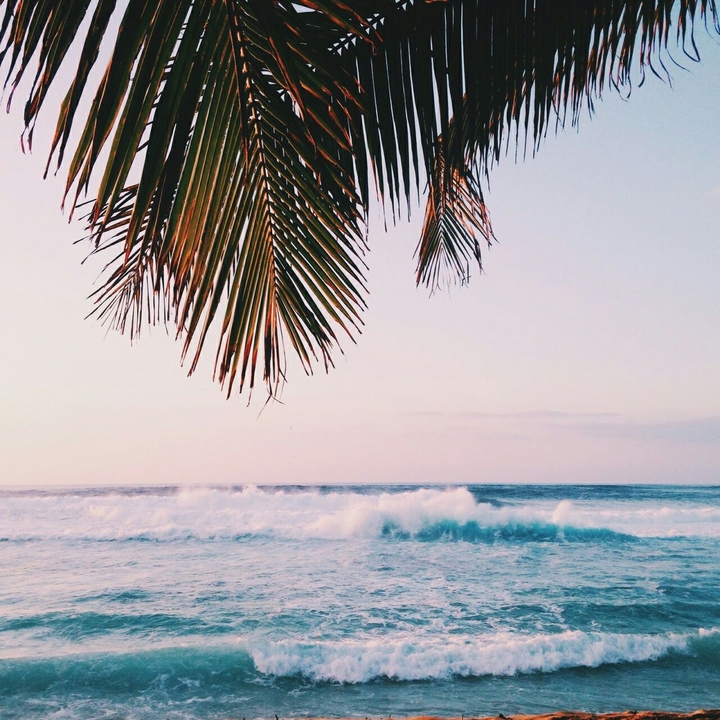 Sea
