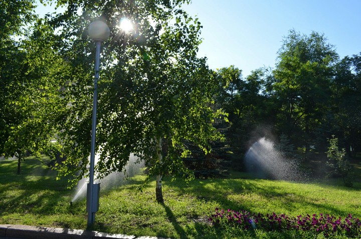 sunny day