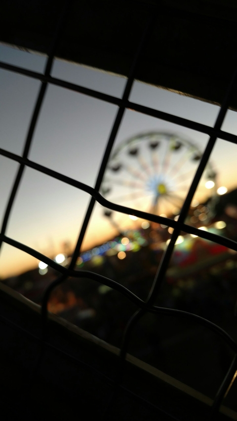 State Fair