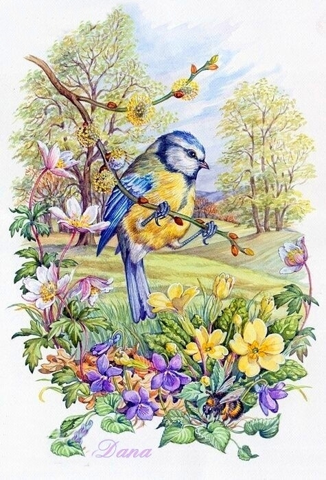 spring is coming