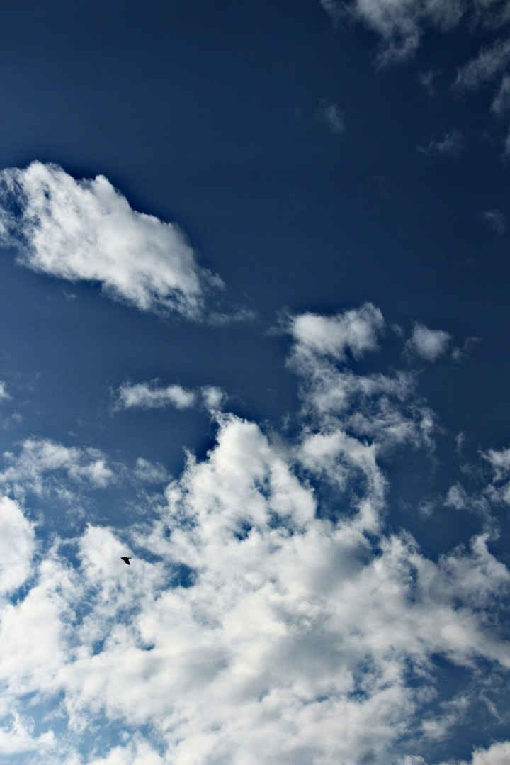 sky