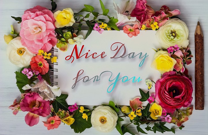 Nice Day)♡