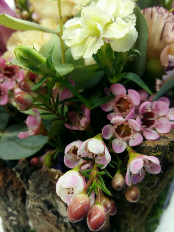 flowers