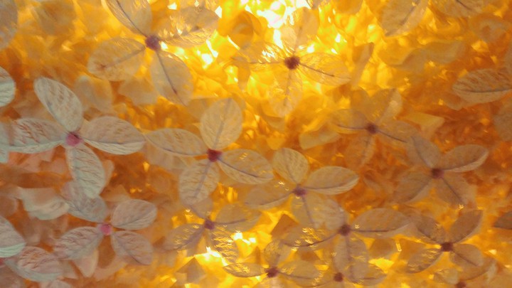 It's all yellow