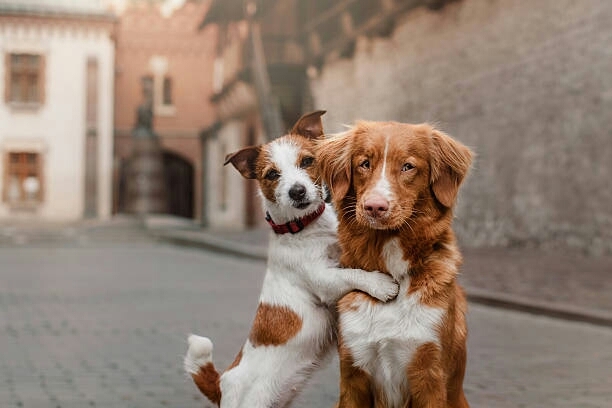 ❤❤