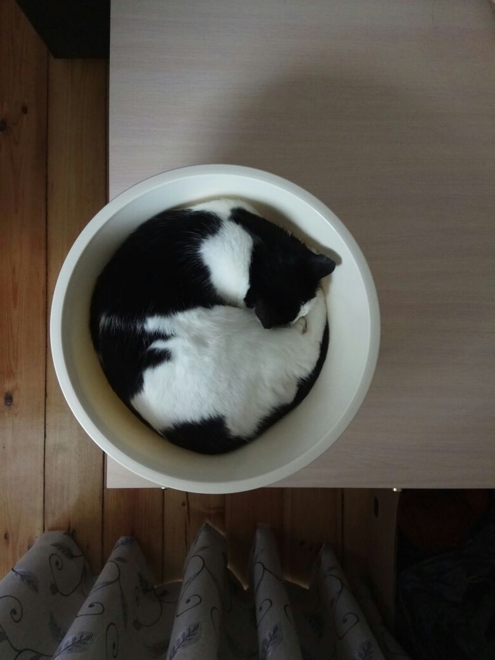 Мими
