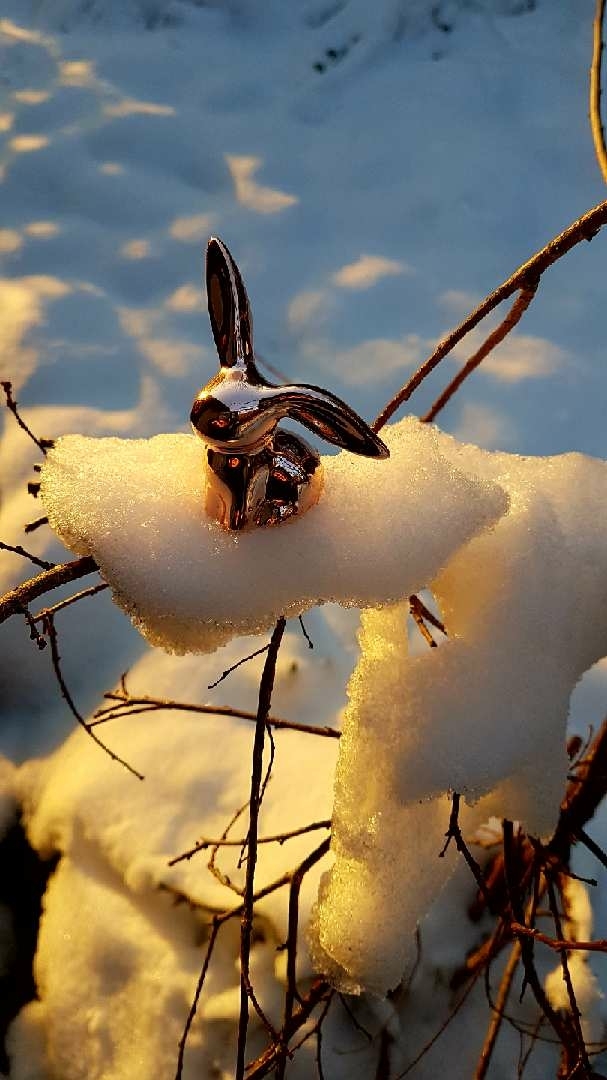 rabbit in the snow