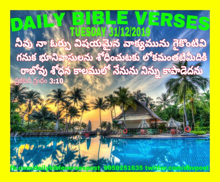 DAILY BIBLE VERSES