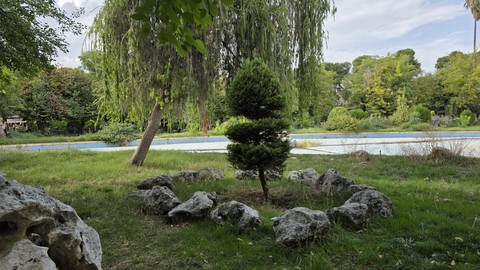Tree, Natural_environment, Grass
