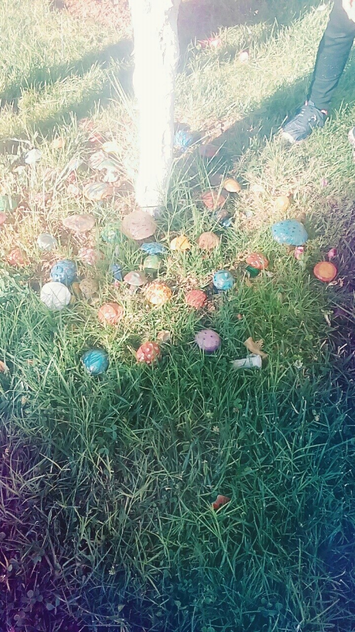 colored mushrooms.