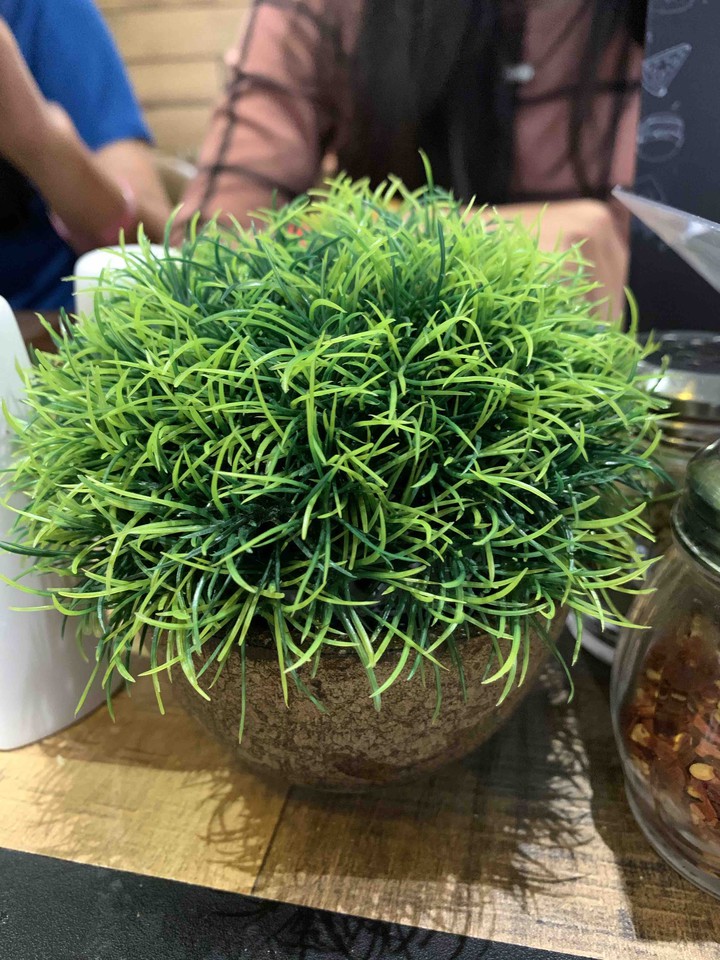 green beauty
