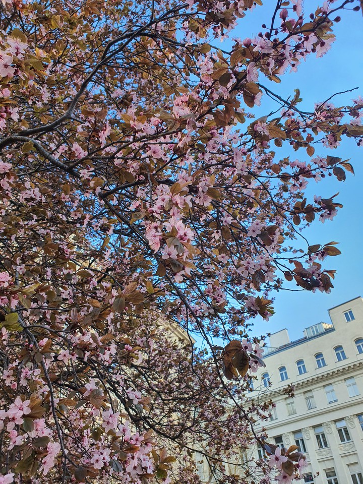 Frühling