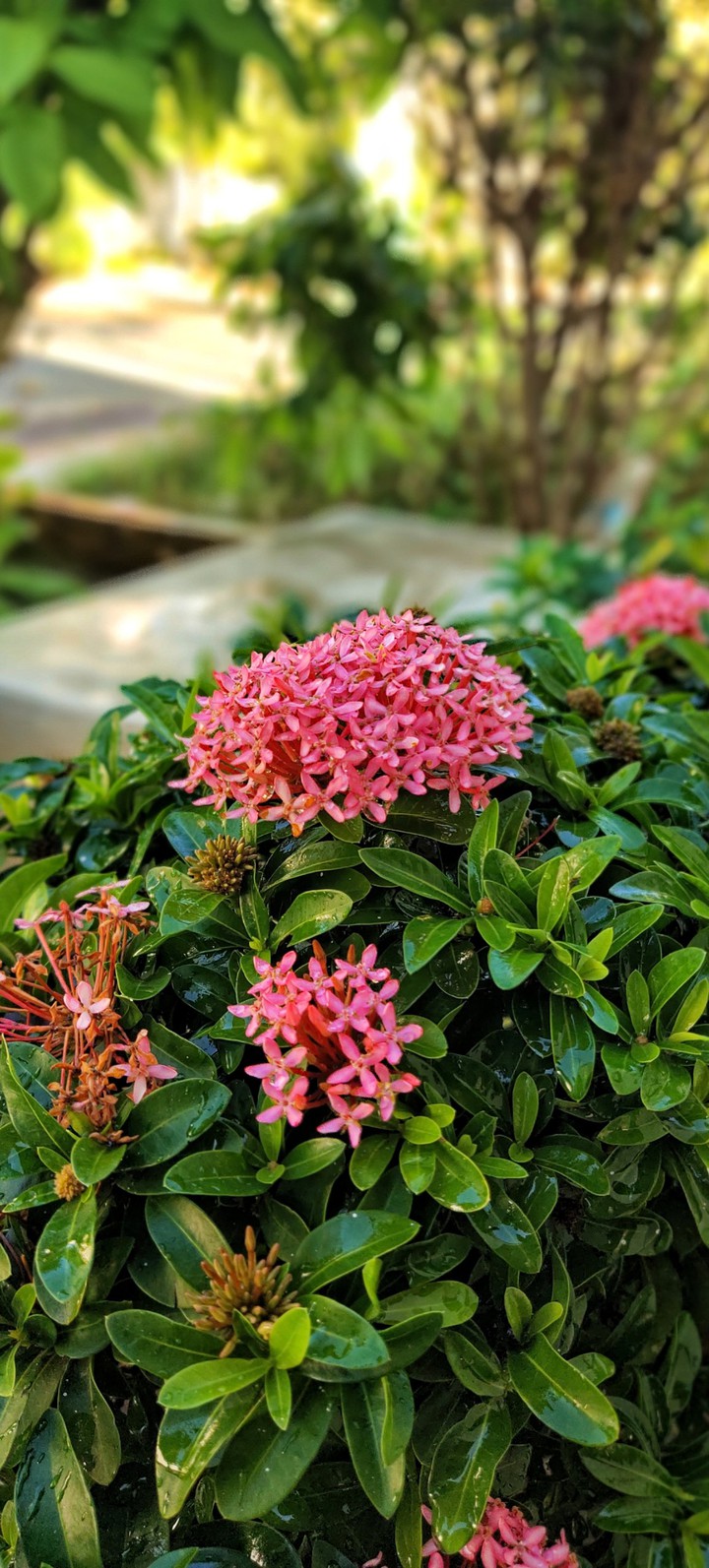 nature