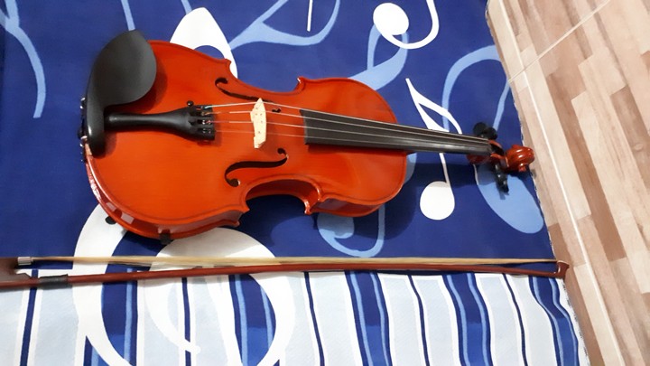Violino