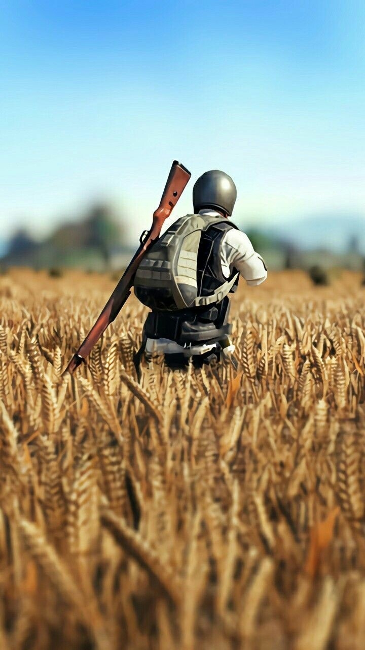 #1817 (PUBG)