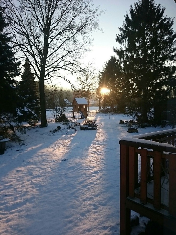 Snow Garden