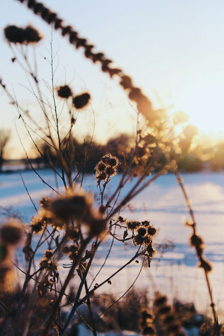 winter