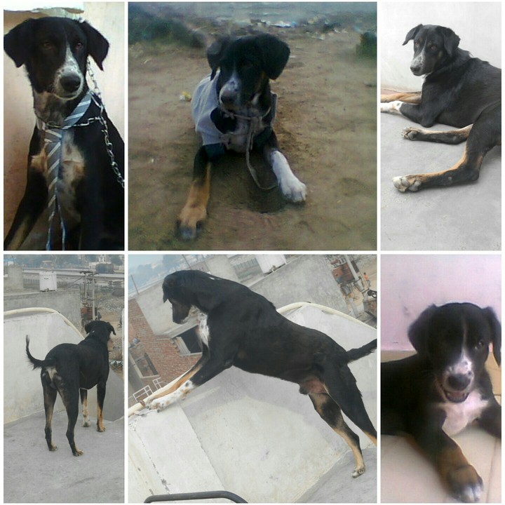Love U Moti