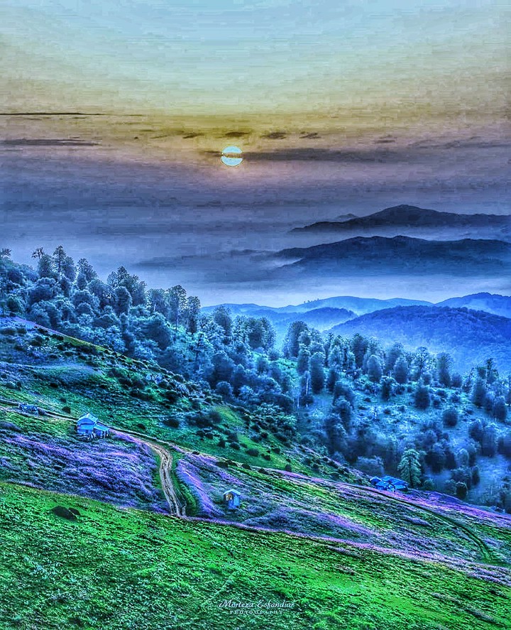 back to the nature