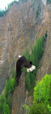 Nature.