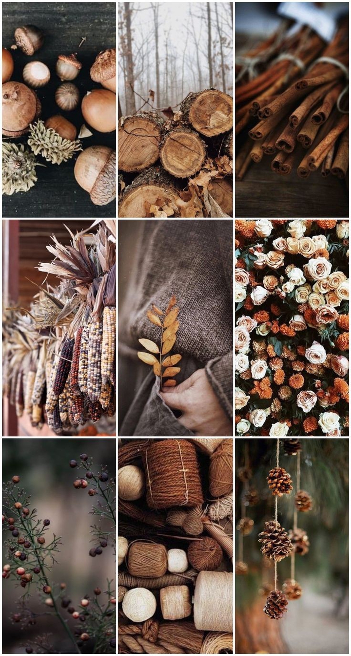 Beautiful autumn