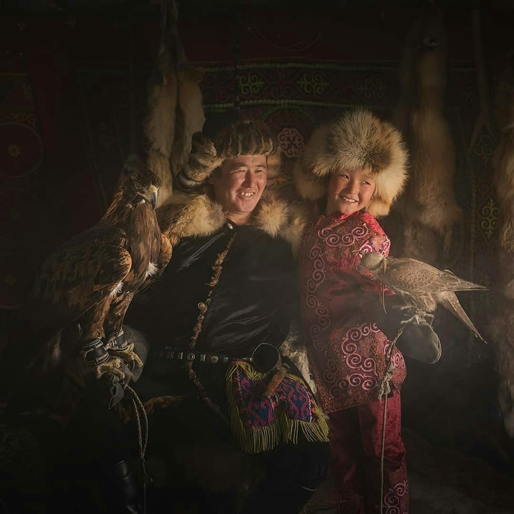 орлы