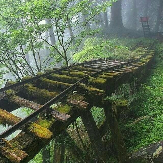 it really train path