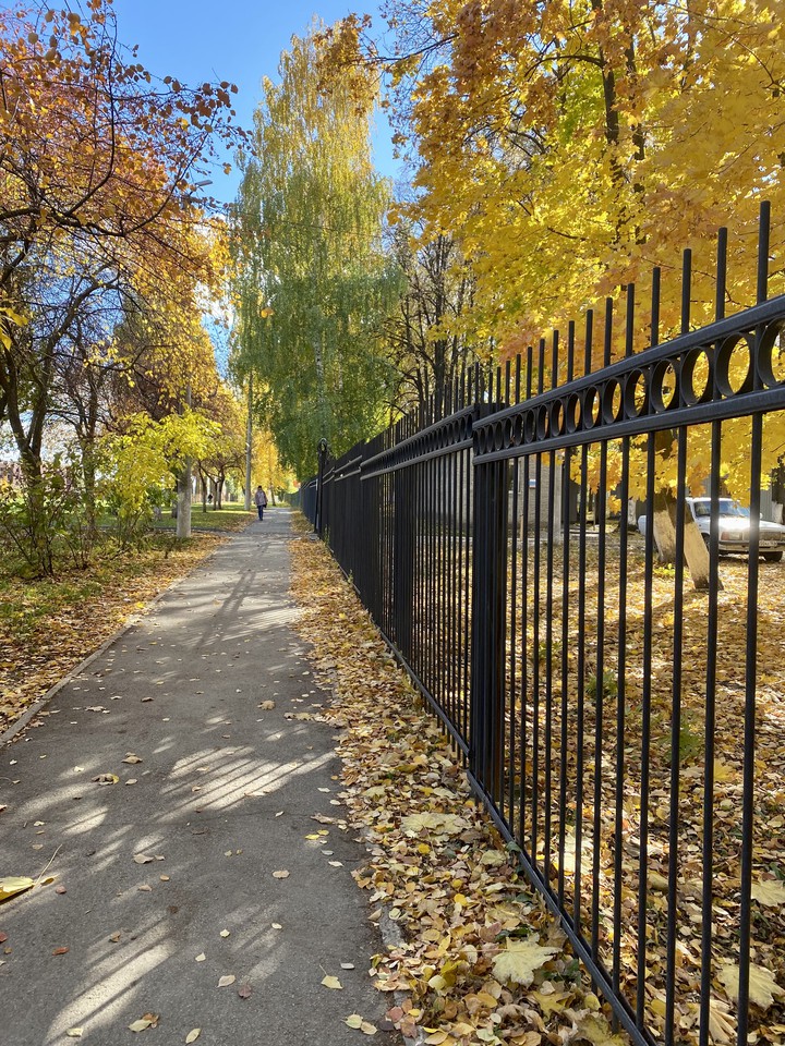 прогулка по осени