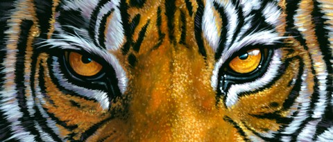 eye of the Tiger