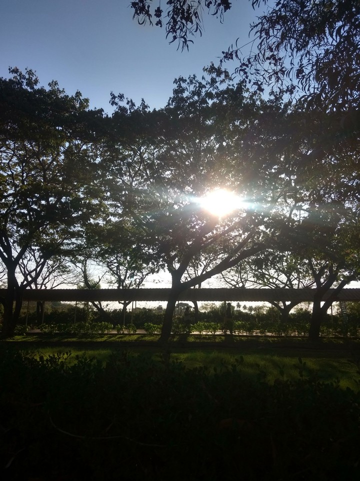 sunny side at VIT vellore