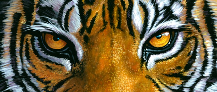eye of the Tiger