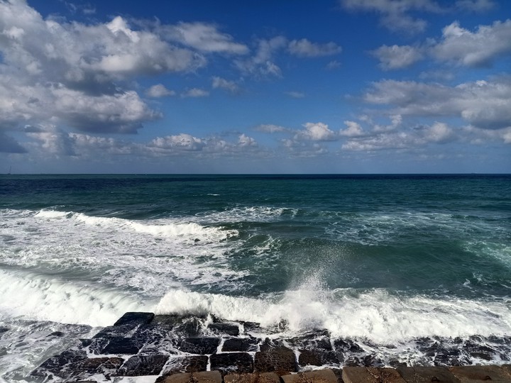 Alexandria
