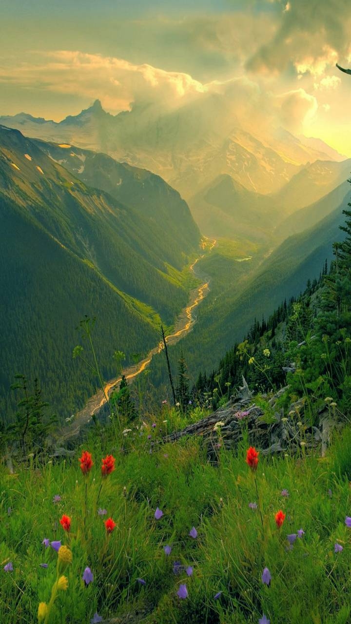 nature