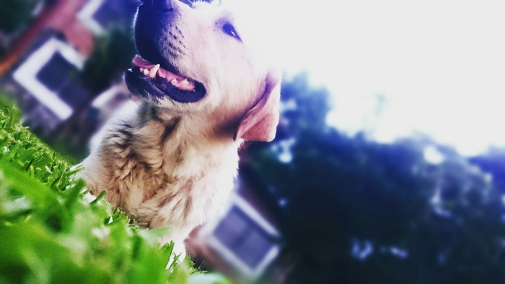 my Best friend coby