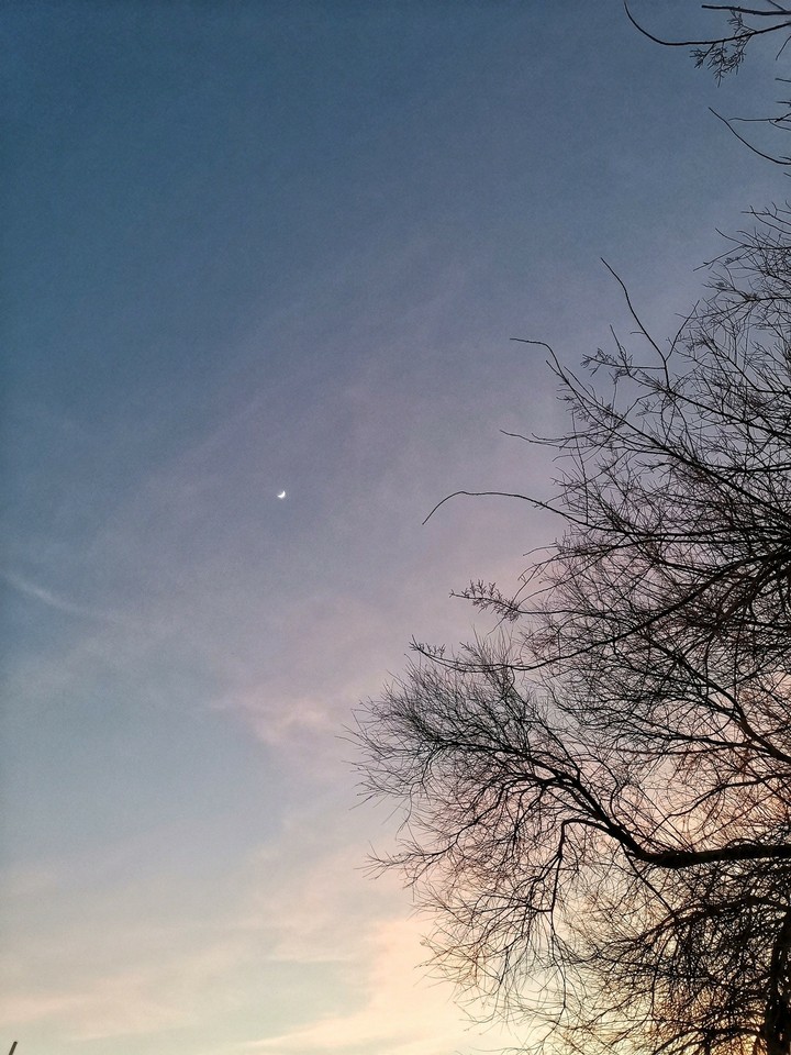 moon