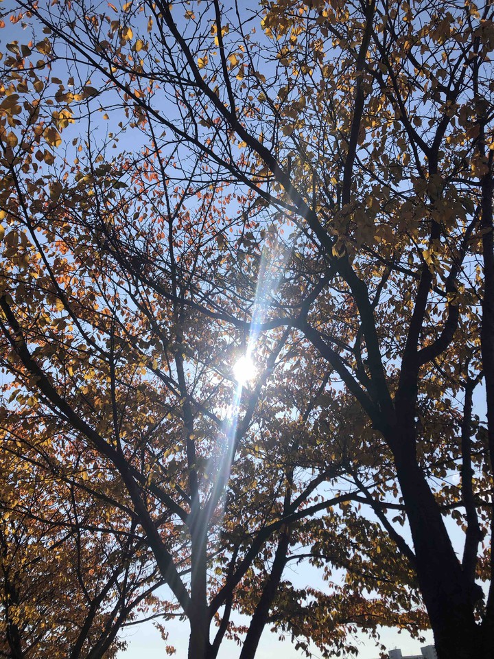 산책