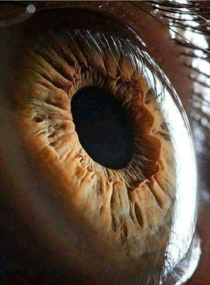 amazing photography