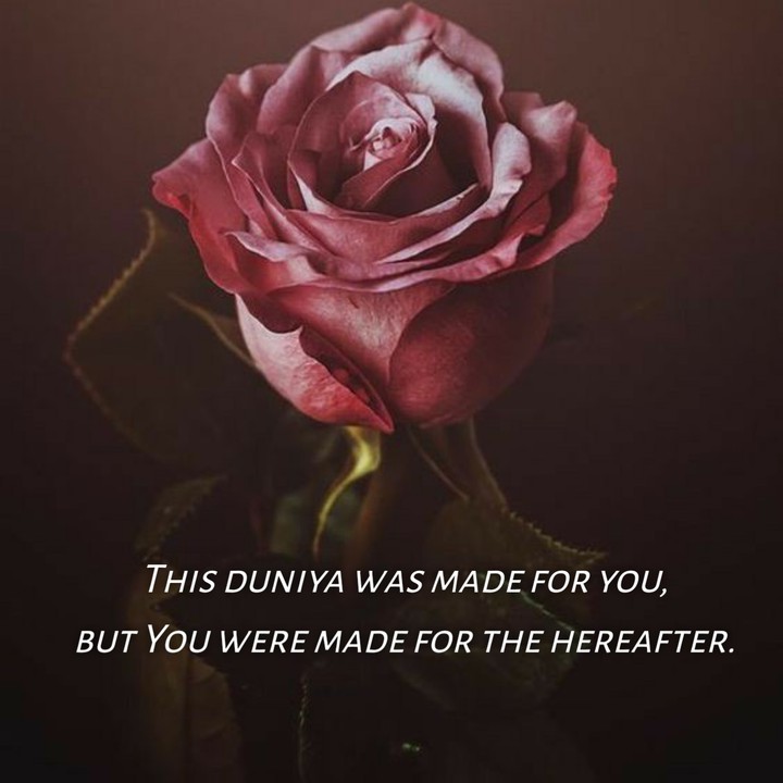Islamic quotes