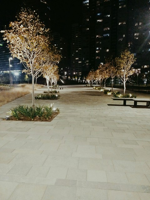 La mexicana park