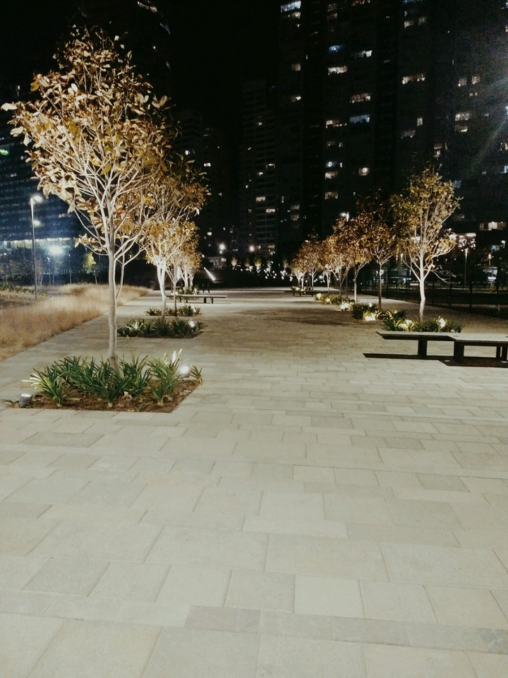 La mexicana park