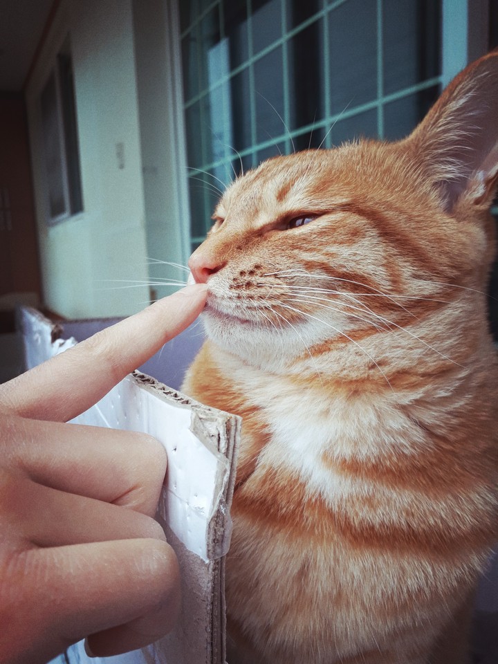 킁