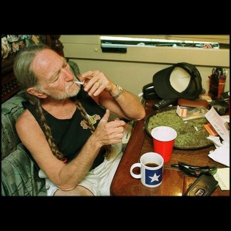 Willie in Honeysuckle