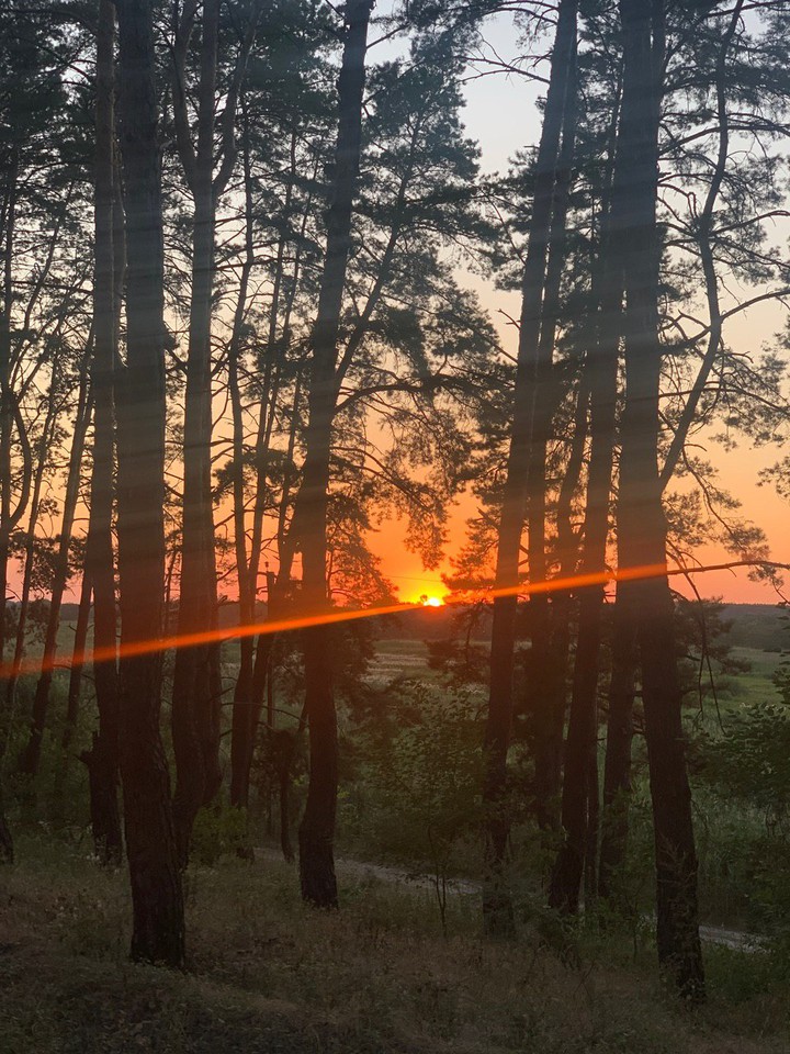 sun