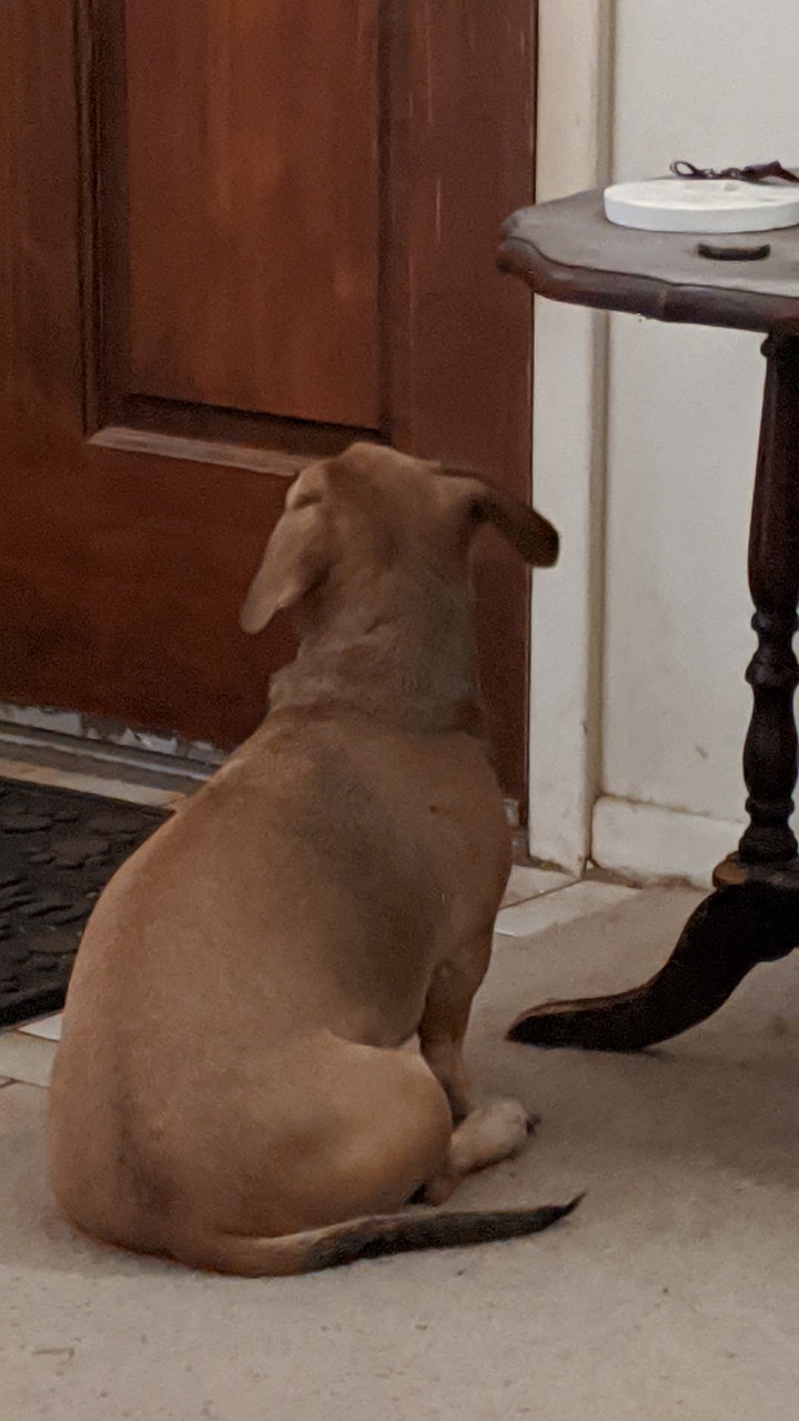 Is mommy home yet?